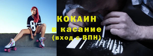 спайс Ельня