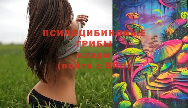 спайс Ельня