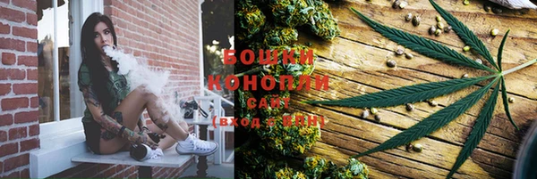 спайс Ельня