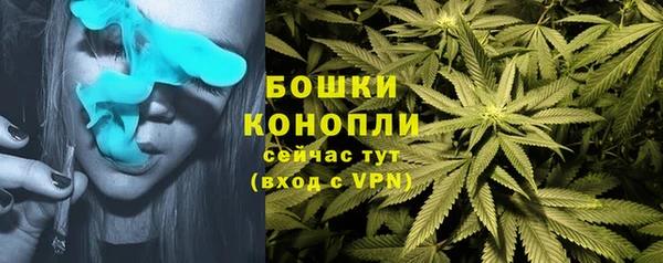 спиды Елабуга