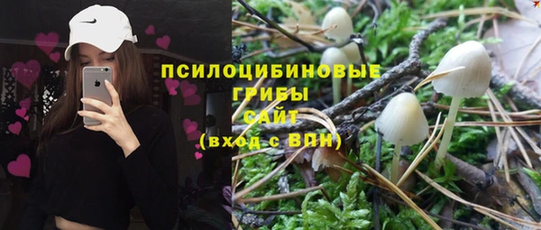 спиды Елабуга