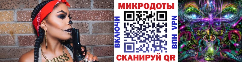 Псилоцибиновые грибы Cubensis  Вологда 